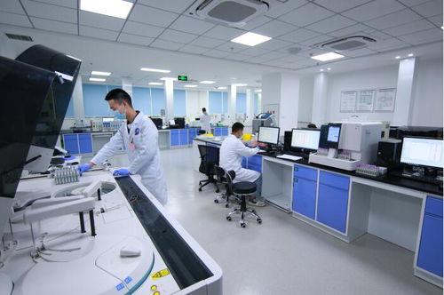 綿竹市人民醫院高質量打造區域醫療技術服務中心暨衛生健康教育中心紀實
